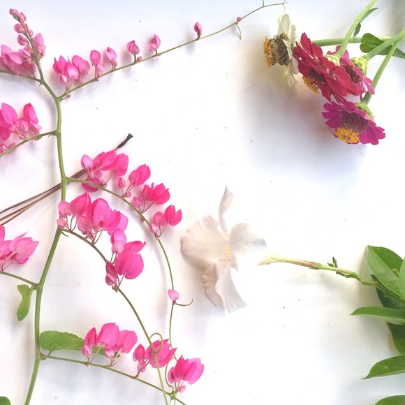 Meet Your Posher - Picture 2 of 2